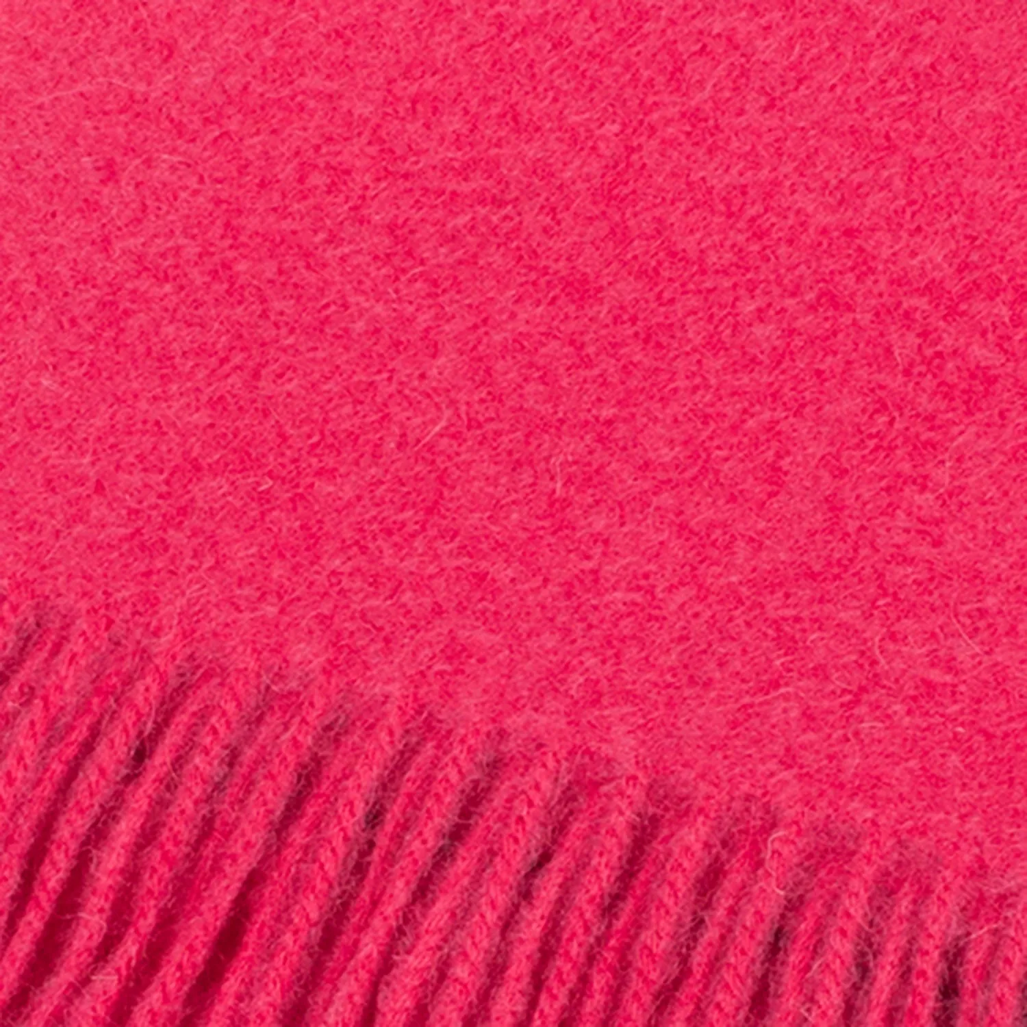 Edinburgh 100% Lambswool Scarf  Violet Pink